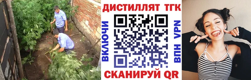 Купить закладки  Козловка  Дистиллят ТГК гашишное масло 