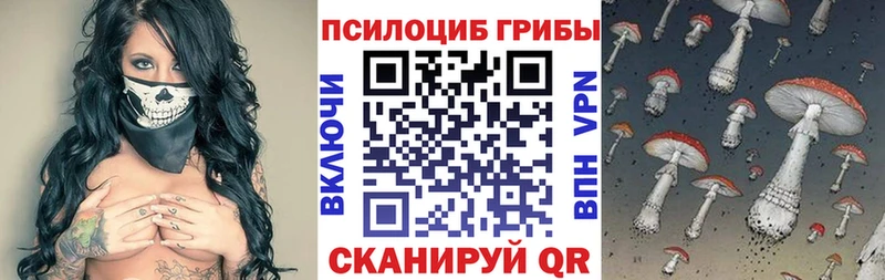Купить где  Козловка  Псилоцибиновые грибы Psilocybe 